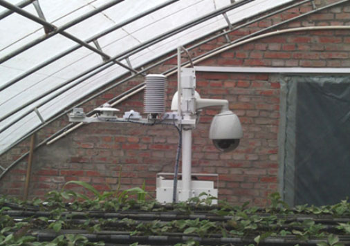 農業科研項目中的應用